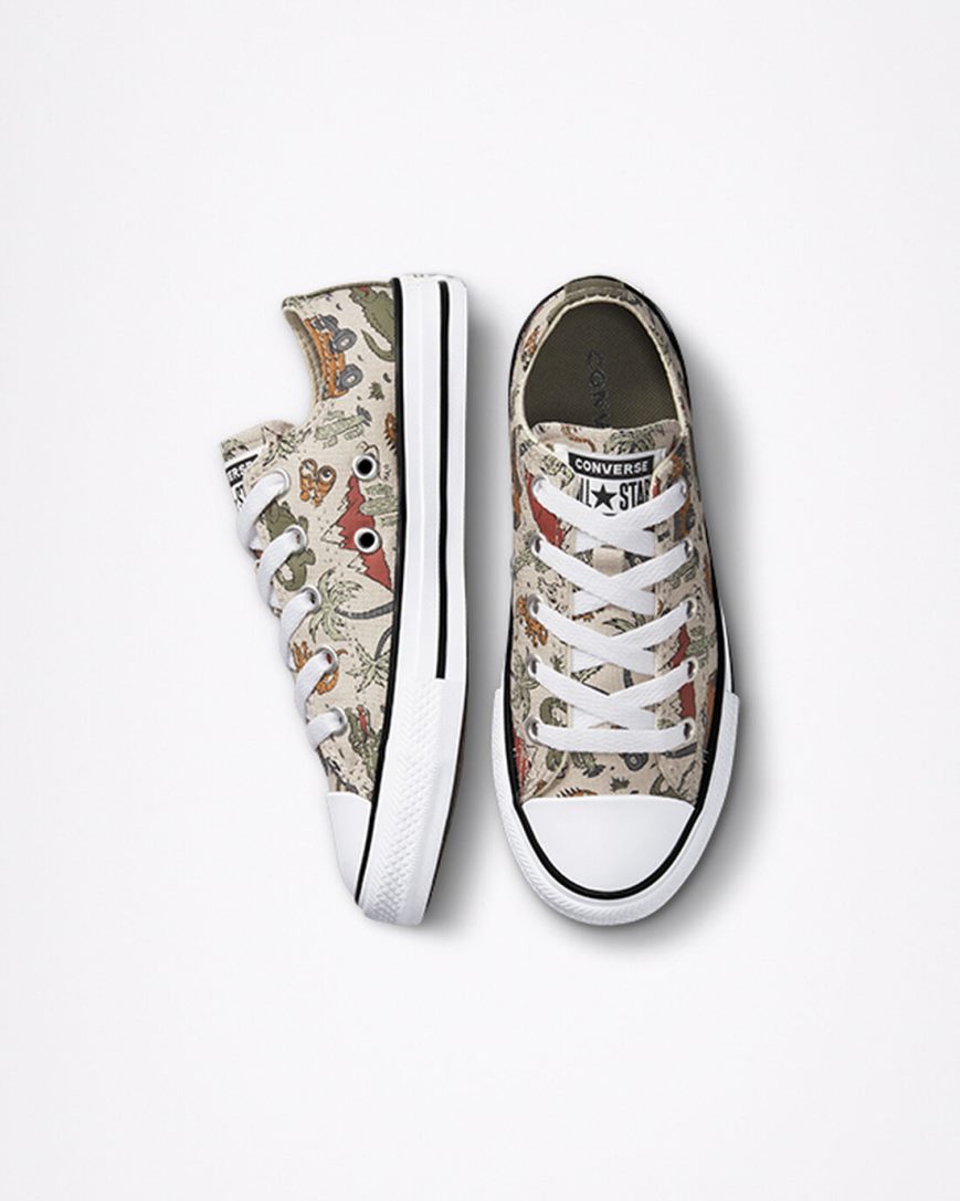 Chlapecké Boty Nízké Converse Chuck Taylor All Star Desert Explorer Béžový | CZ QEVI26